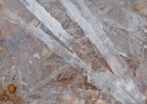 Ice puddle along the trail. 