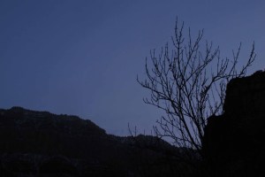 Dusk at Indian Gardens