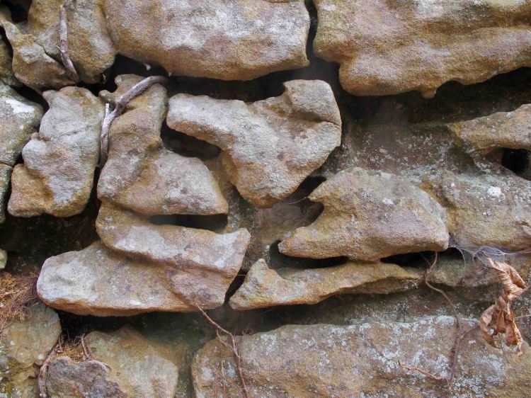 Detail of rock formations in the Hurricane Creek Wilderness Area 