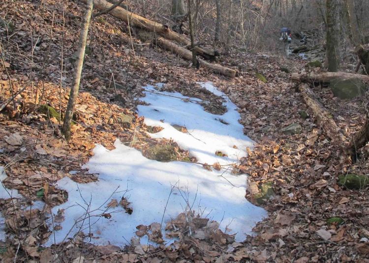 Richland Creek drainage next to the CCC Campground.