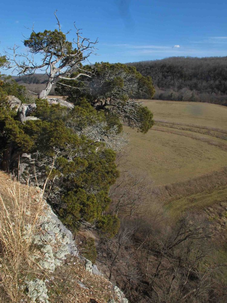 Looking toward the southeast side of the Narrs