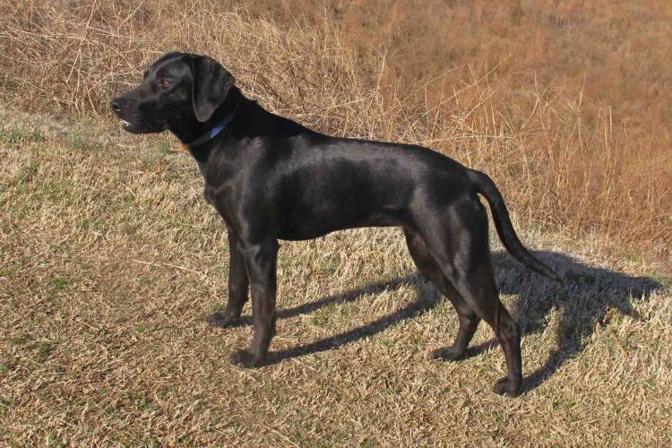 Hiker on February 22, 2014