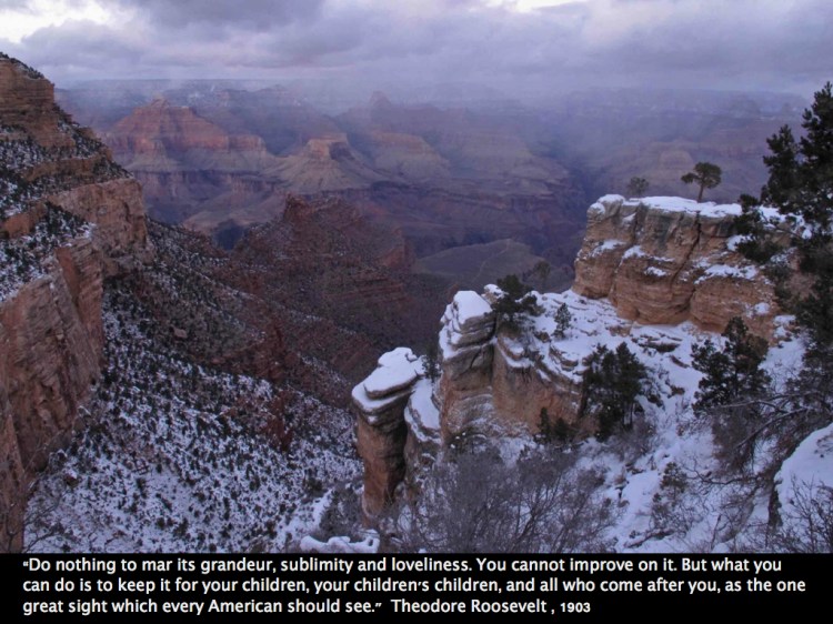 Grand Canyon Roosevelt quote.001
