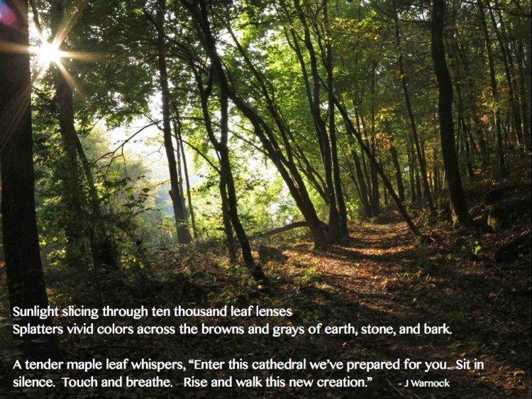 Quote Leaf Lenses.001