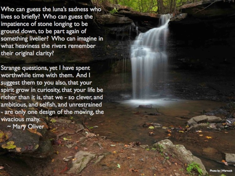 Quote Oliver Moth Mountains Rivers.001