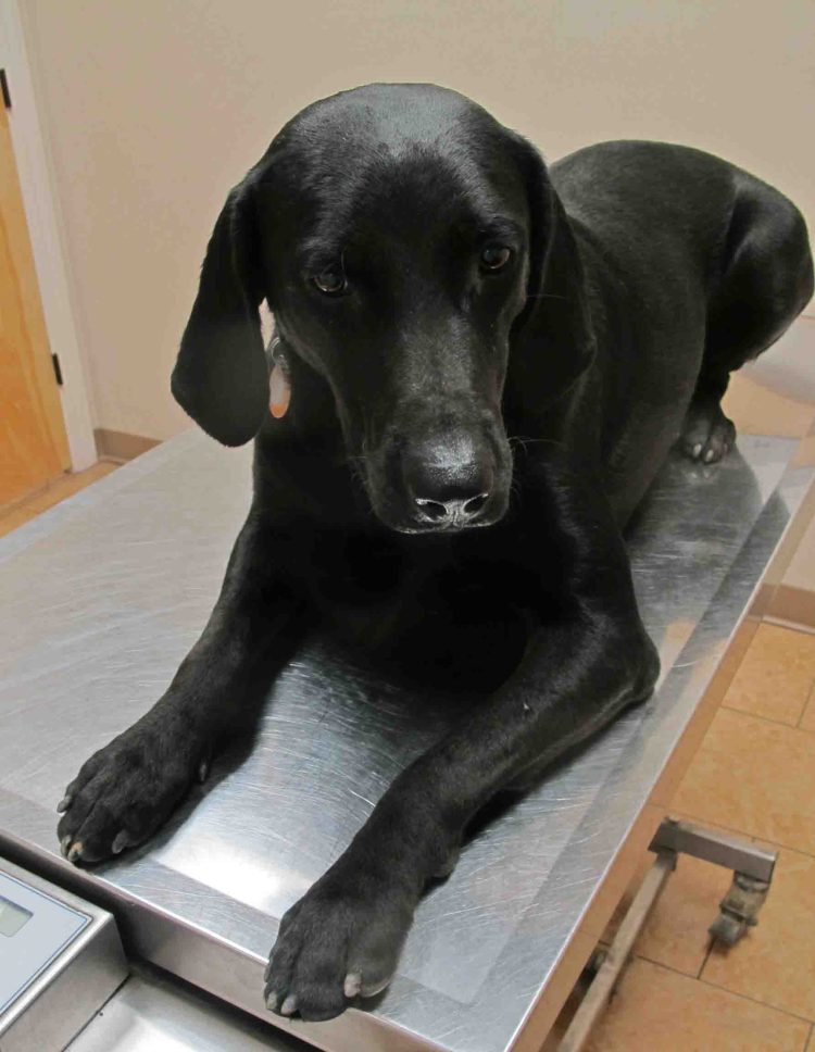 Hiker waiting for Dr. Green 