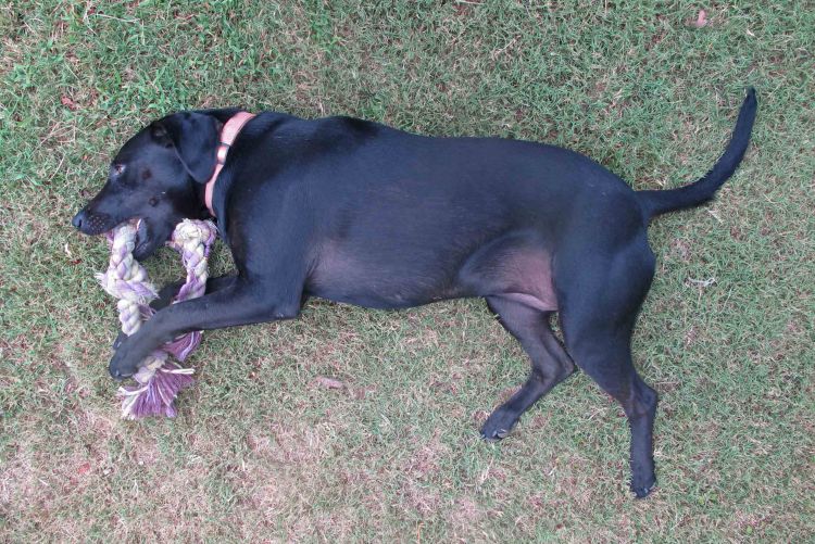 Hiker on August 18th.  