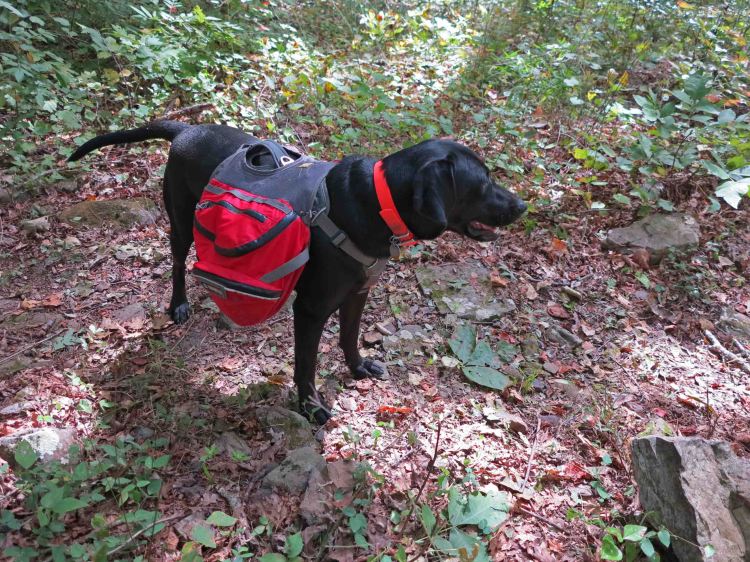 Hiker with her food supply for two days. 