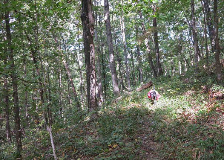 Hiking the old railroad bed. 