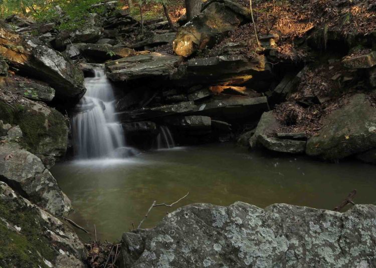 Drainage below McWater Falls. 
