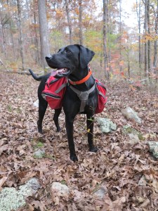 Hiker says, "Pick it up the pace there "Tater!"   