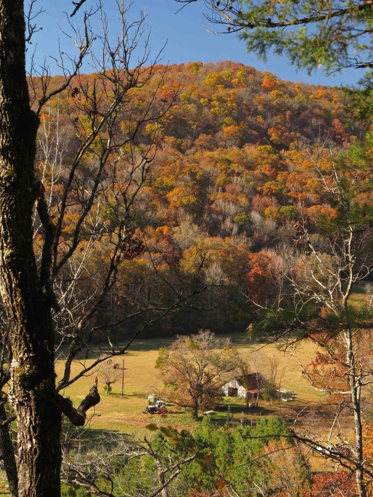 View into the Indian Creek drainage. 