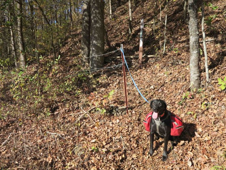 An unassuming beginning point for the beauty to be found down this trail. 