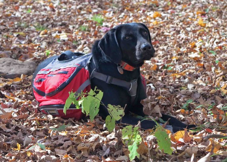 Practice "Leave no Trace" so I don't have to pack out your trash. 