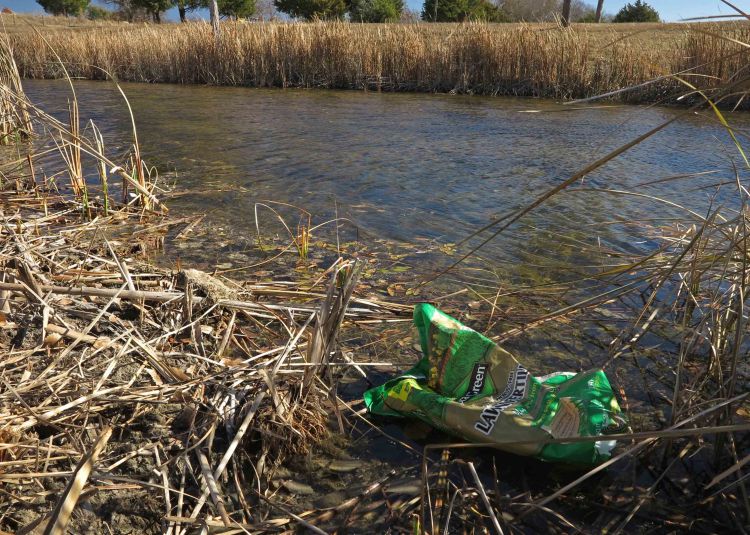 Some trash is unsightly but easily corrected.  The deeper problem of pollution that finds its way into our  wetlands is not so easily remedied. 