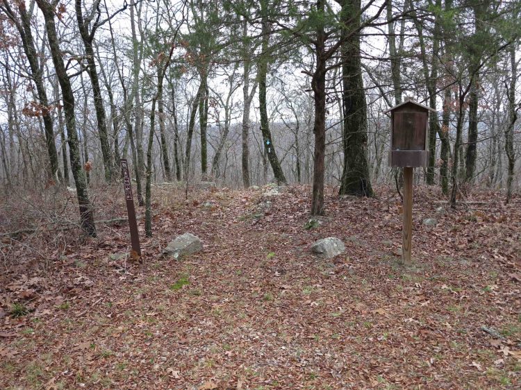 Trail entrance from Morgan Fields Trailhead 
