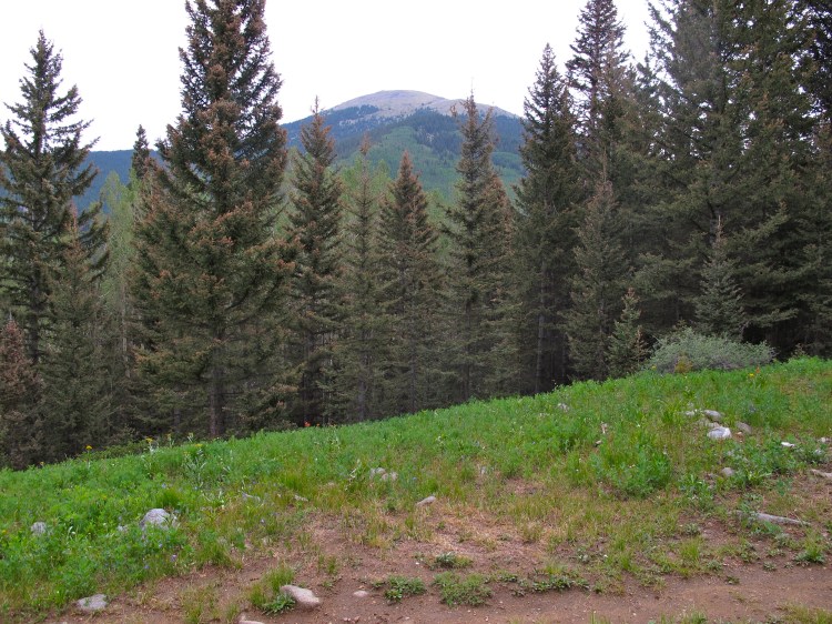 View of Sante Fe Baldy from my break spot. 