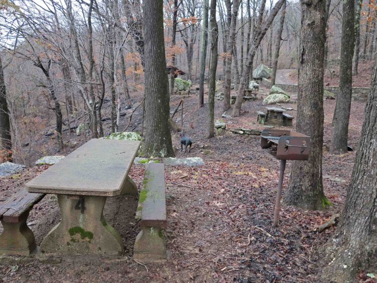 Gray Spring picnic area.