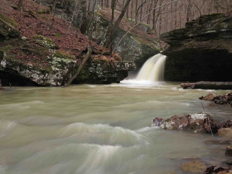 A favorite spot on Spirits Creek. 