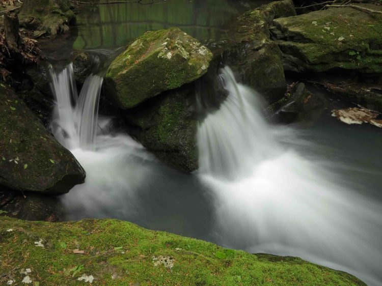 Little falls are sprinkled all along the creek.