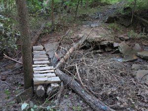 Little bridge downstream from McWater Falls 