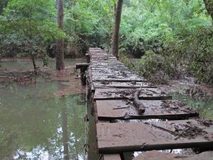 Little Frog Bayou Bridge