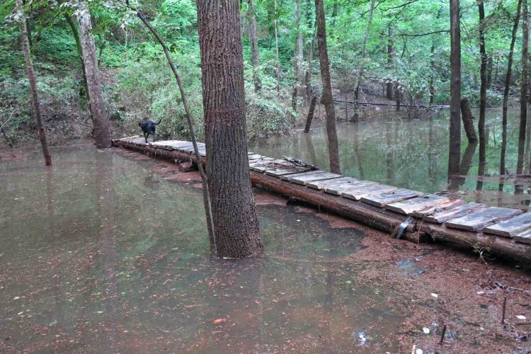 Little Clear Creek Bridge 