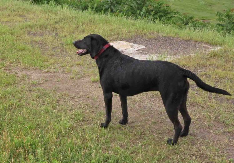 Hiker airing out on the dam.