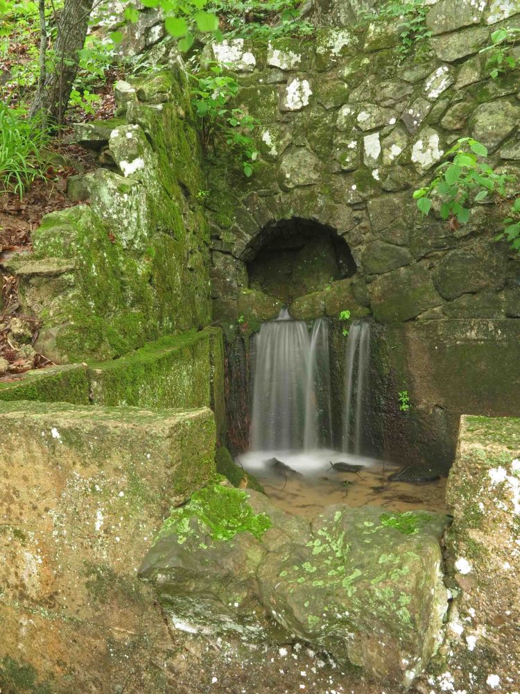 Shepherd Spring 
