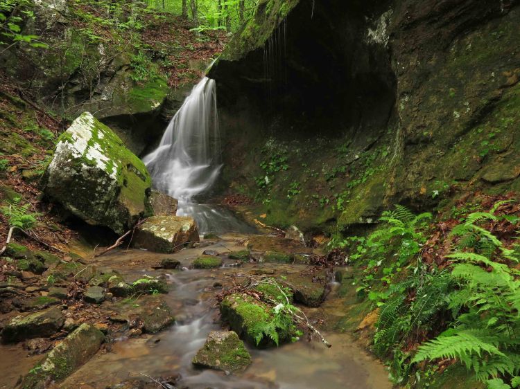 Small falls upstream from Marinoni Falls