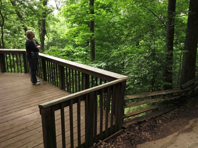 Springfield Conservation Nature Center 