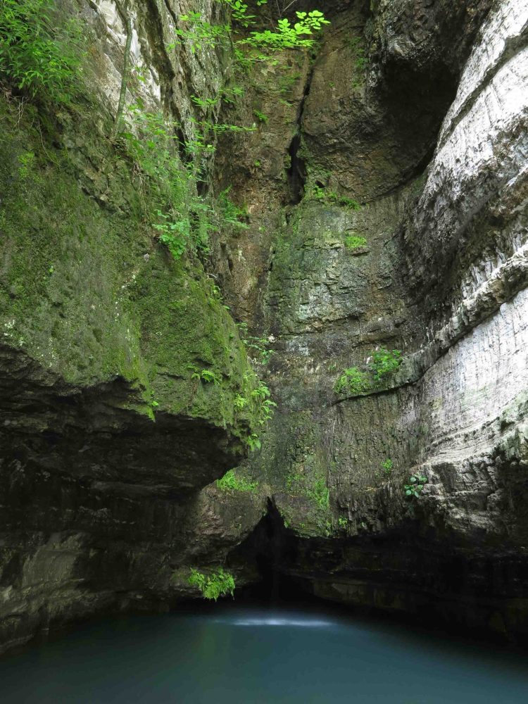 Roaring River Spring