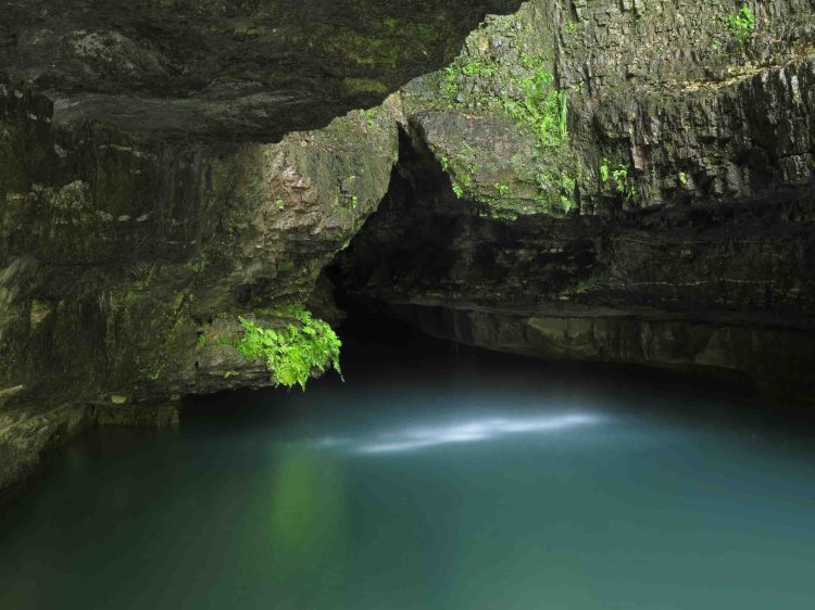 Roaring River Spring