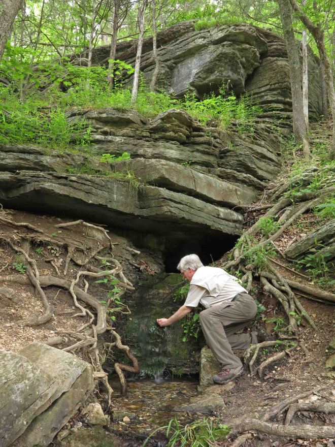 Small spring next to the trail in the Ozarks of Missouri