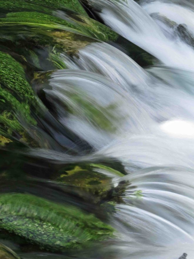 Roaring River in Missouri 