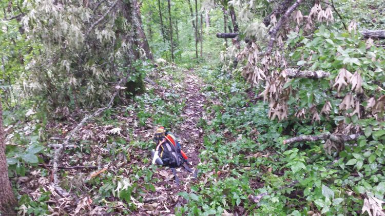 After some sawing and hauling. 