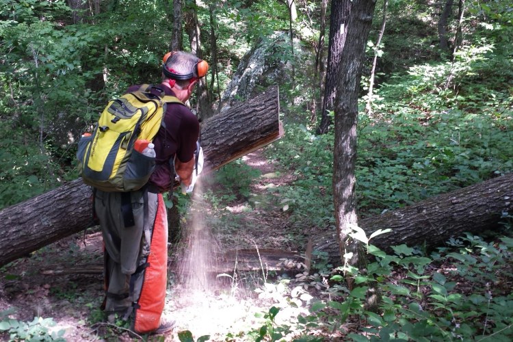 Mike, a master sawyer! 