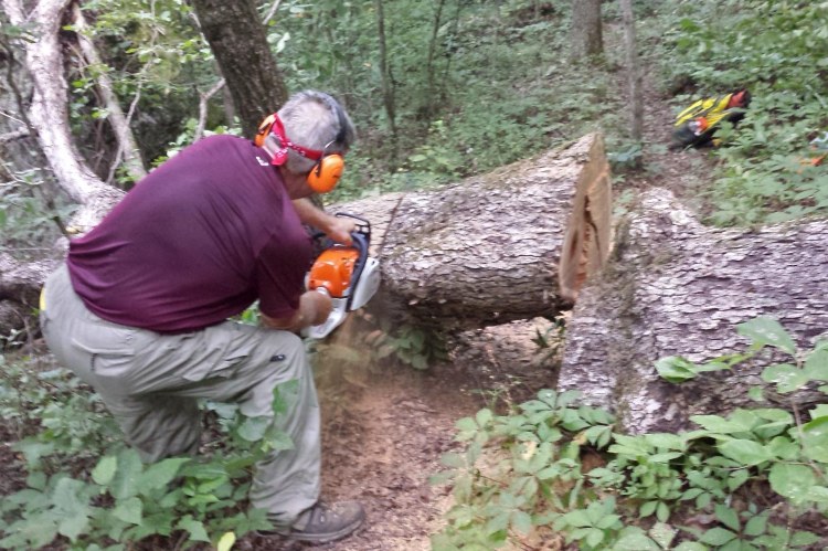Mike cutting the first tree encountered. 