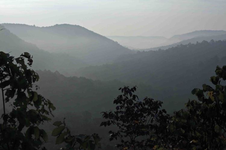 Sylamore Creek Valley