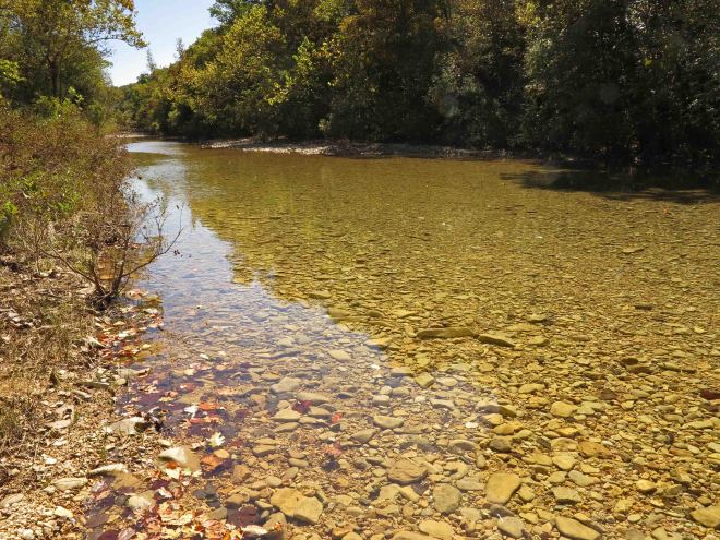 Looking upstream from the low water bridge