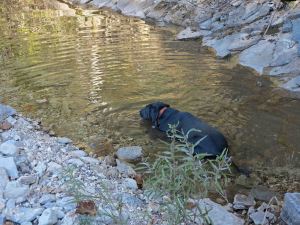 Hiker having a drink. 