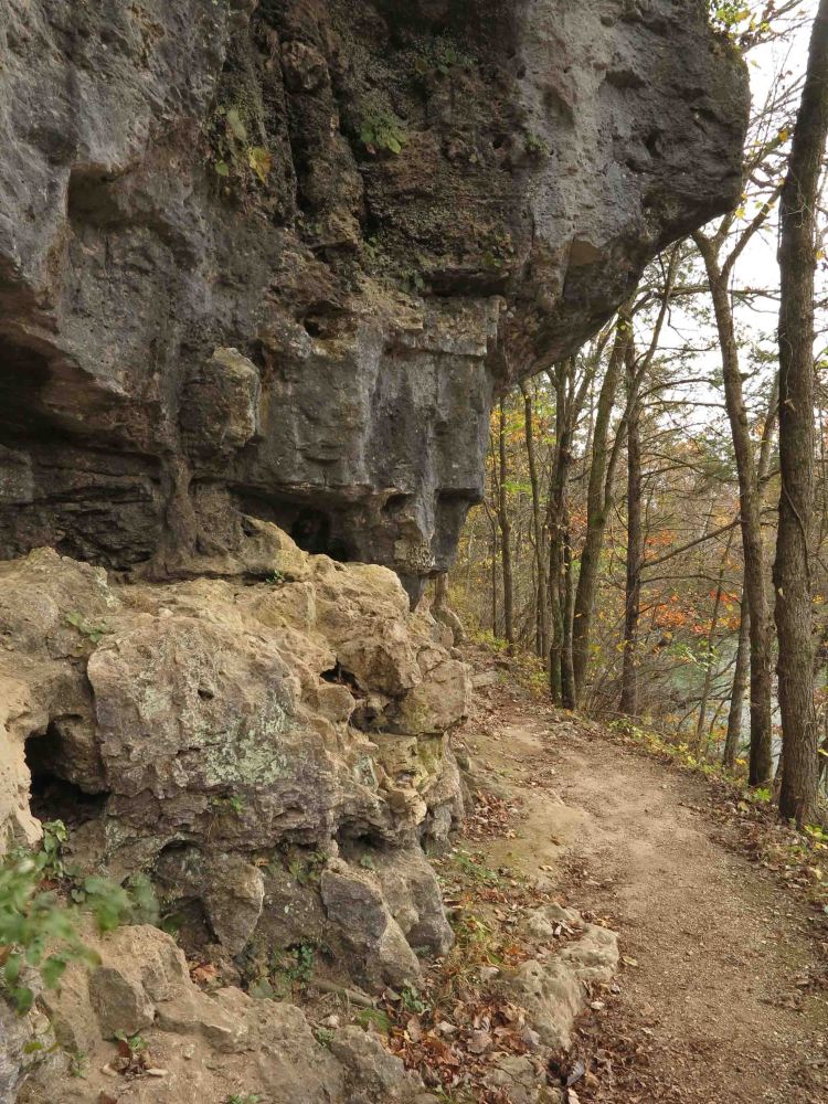 Trail next to Alley Branch