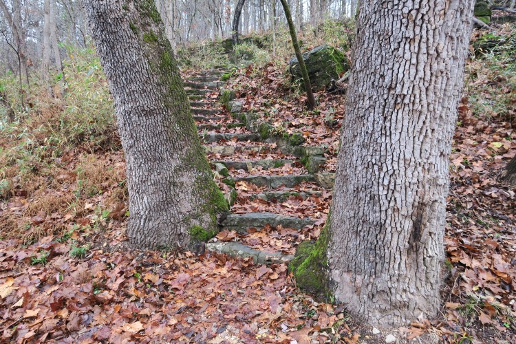 Steps built by the CCC. Made to last! 