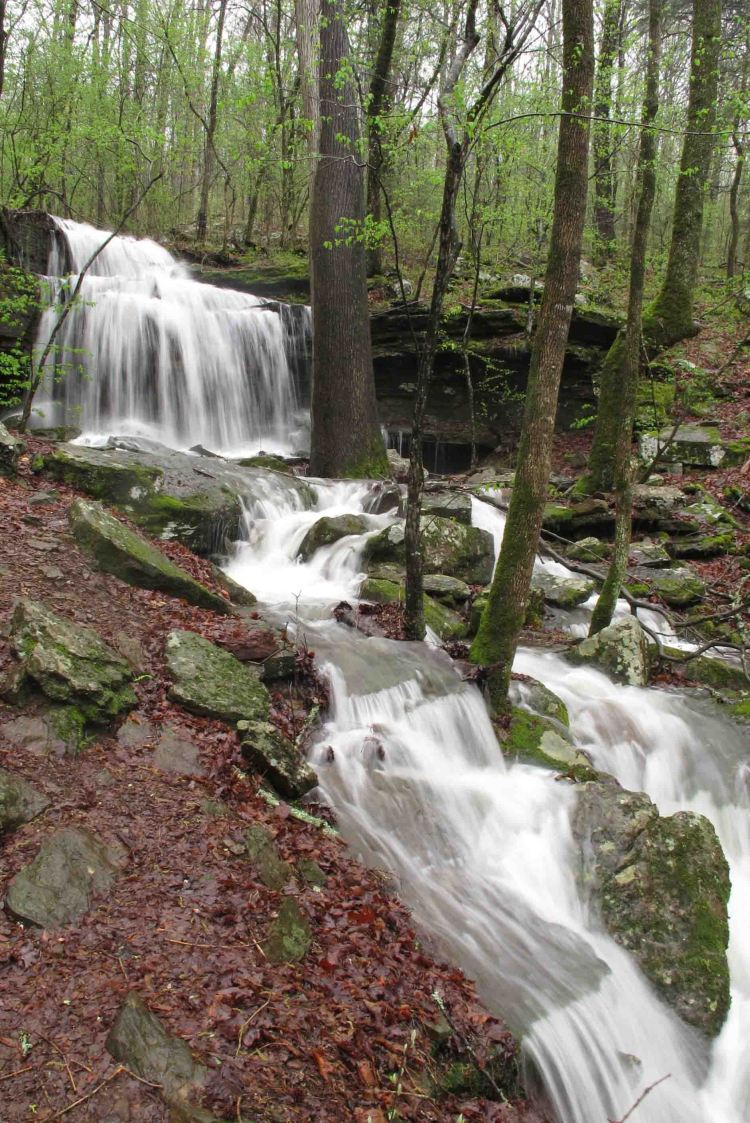 Turner Bend Falls Warnock 2 small