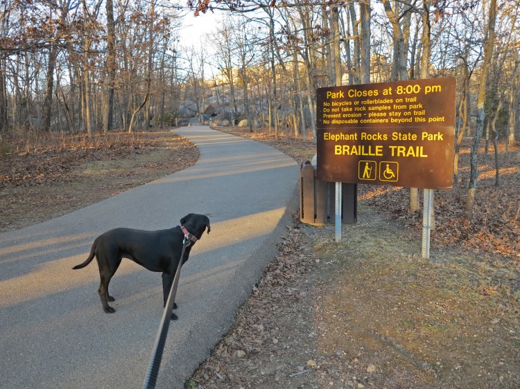 Elephant Rocks 5_Hiker-dog at trailhead.jpg