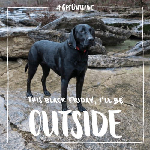 opt-outside-hiker-dog