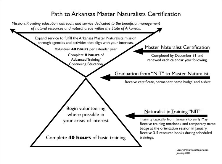 Master Naturalist graphic0118