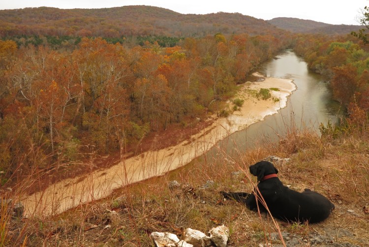 Current River Owls Bend Vista 1