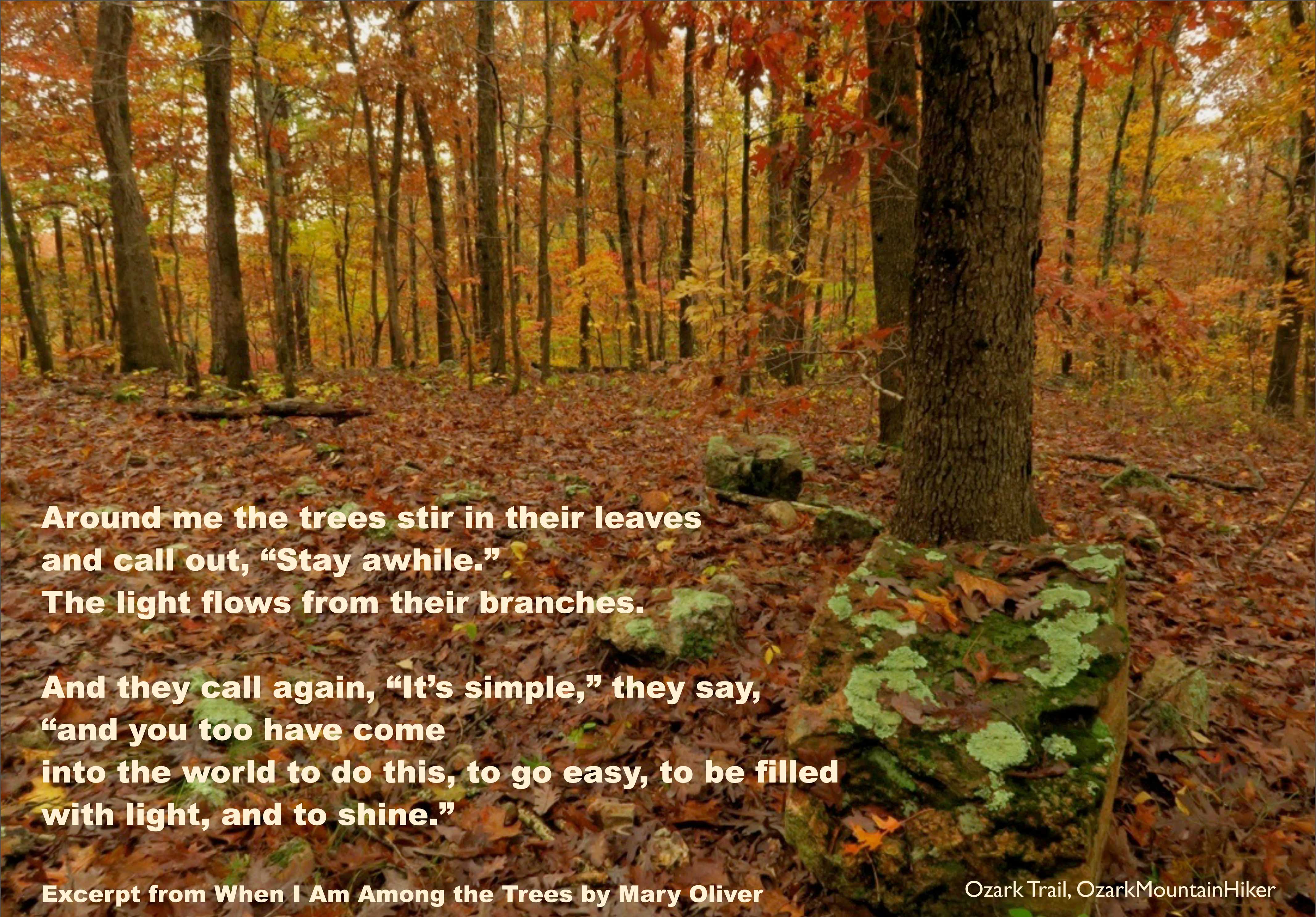 Oliver When I Am Among the Trees 1118