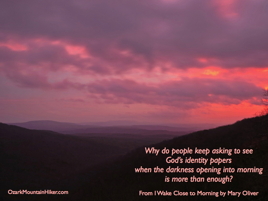 Mary Oliver I Wake Close to Morning.001